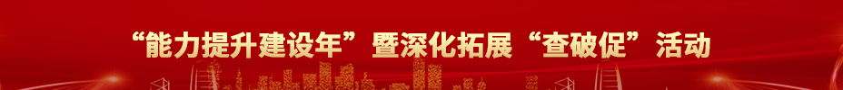 “能力提升建設年”暨深化拓展“查破促”活動